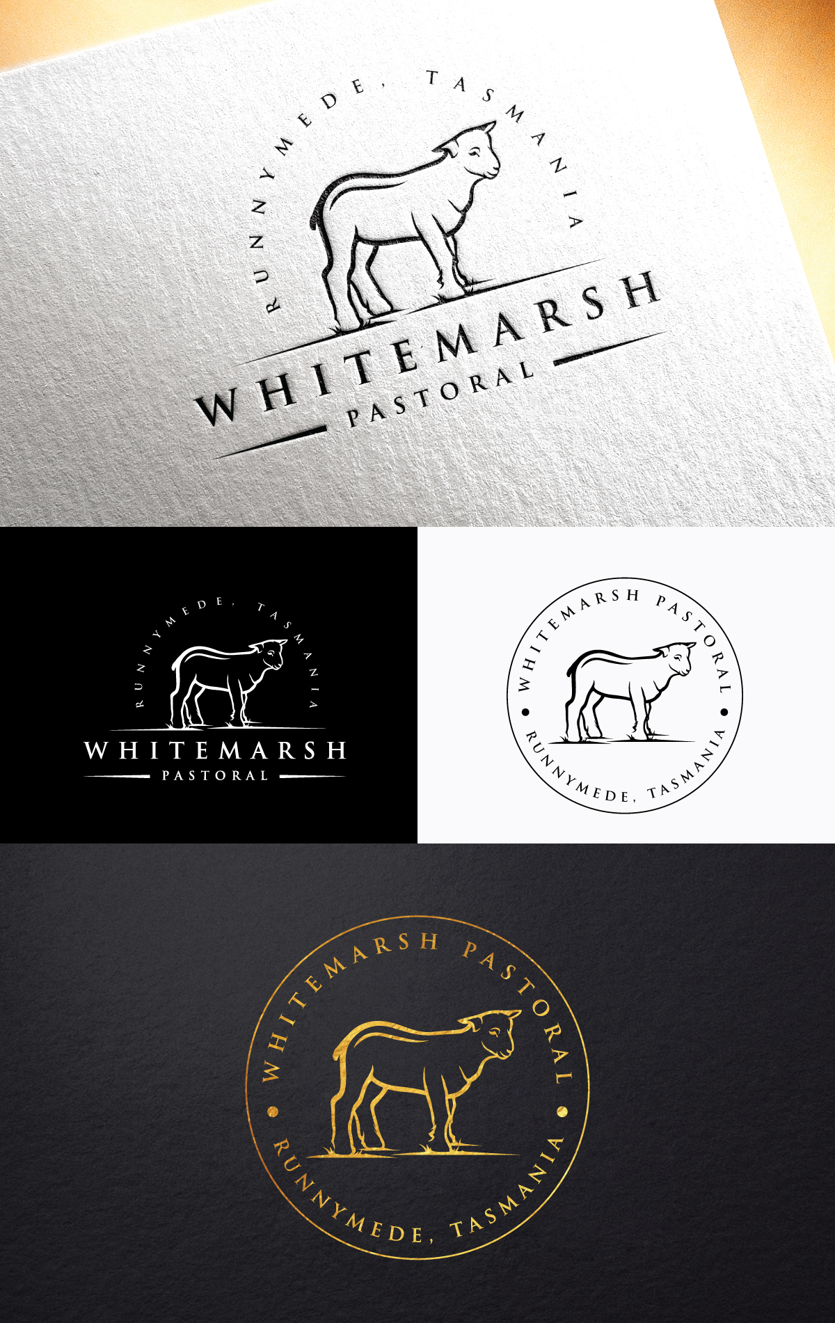 Diseño de Logo por step forward 2 para este proyecto | Diseño #32181670