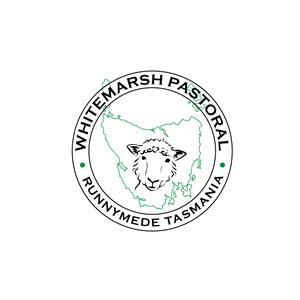 Design de Logo par geni pour ce projet | Design #32199768