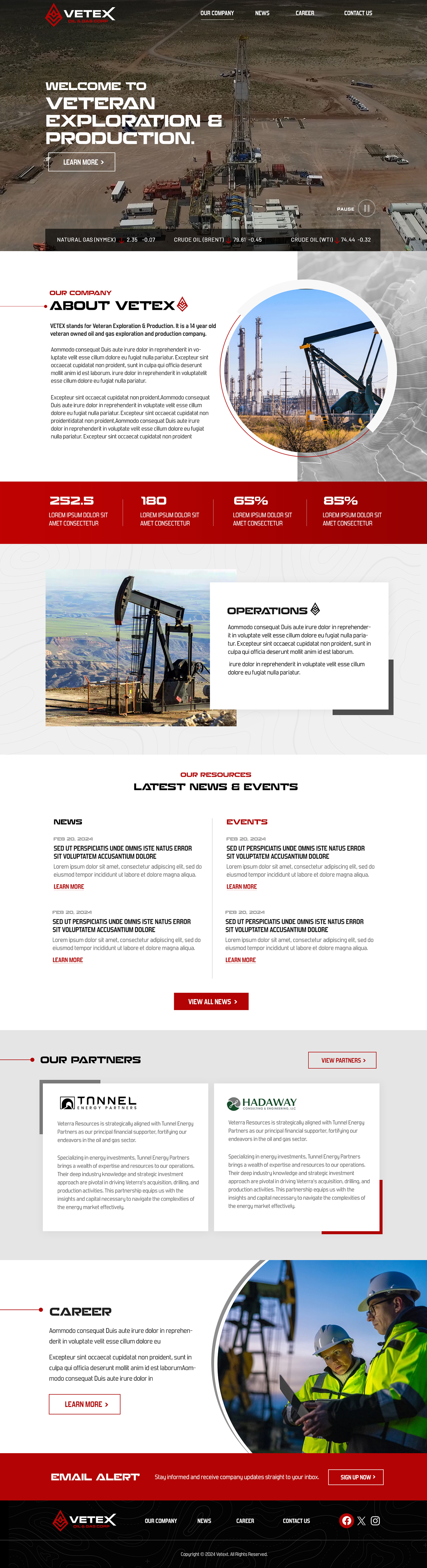 Web Design par Blue Sparrow pour Tunnel Energy Partners | Design #32444755