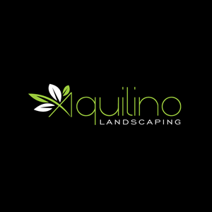 Logo Design by Krold IT Solutions for this project | Design: #32207704