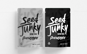 Graphic Design by Bear Studio
