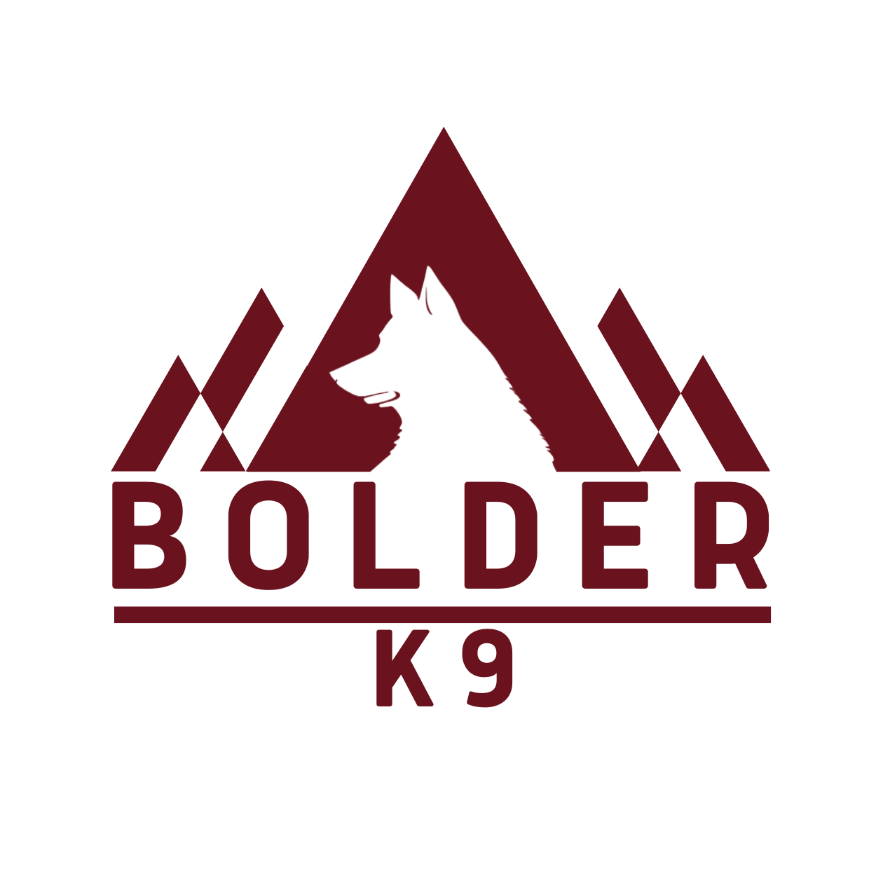 Logo-Design von Chas Designs für dieses Projekt | Design #32187705