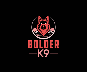 Logo Design by Ansh Design for this project | Design: #32190288