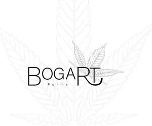 Logo Design by Fahmida Sattar Santa