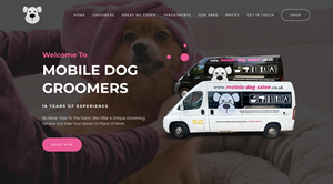 Web Design par Lahiru Nanayakkara pour ce projet | Design : #32279598
