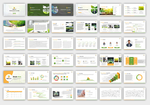 Design de PowerPoint par MNTK pour CASA BUGRE SEMENTES LTDA | Design : #32233897