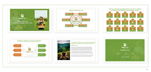 Design de PowerPoint par pb pour CASA BUGRE SEMENTES LTDA | Design : #32232603