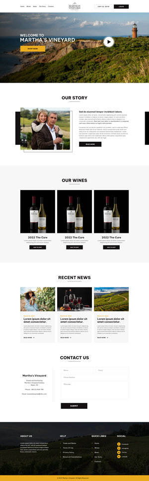 Web Design by Ziaul Haque