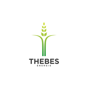 Logo Design by Baldwin2512 for this project | Design #32224548