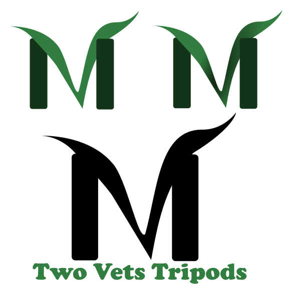 Logo-Design von Mario Bianchi für dieses Projekt | Design #32248123