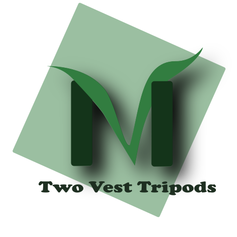 Logo Design by Mario Bianchi for this project | Design #32248243