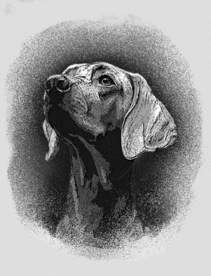 Tattoo Design by mehmet_ilkerli for this project | Design: #32258183