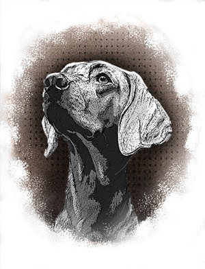 Tattoo Design by mehmet_ilkerli for this project | Design: #32258254