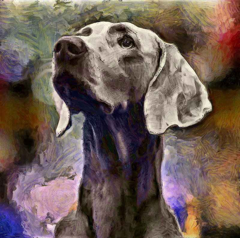 Tattoo Design by mehmet_ilkerli for this project | Design #32265240