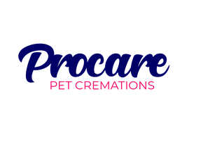 Diseño de Logo por spks para este proyecto | Diseño: #32237799