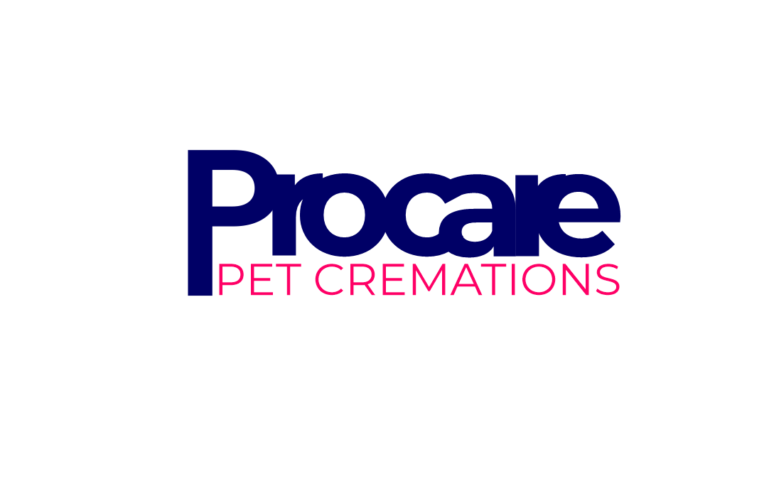 Diseño de Logo por spks para este proyecto | Diseño #32237929