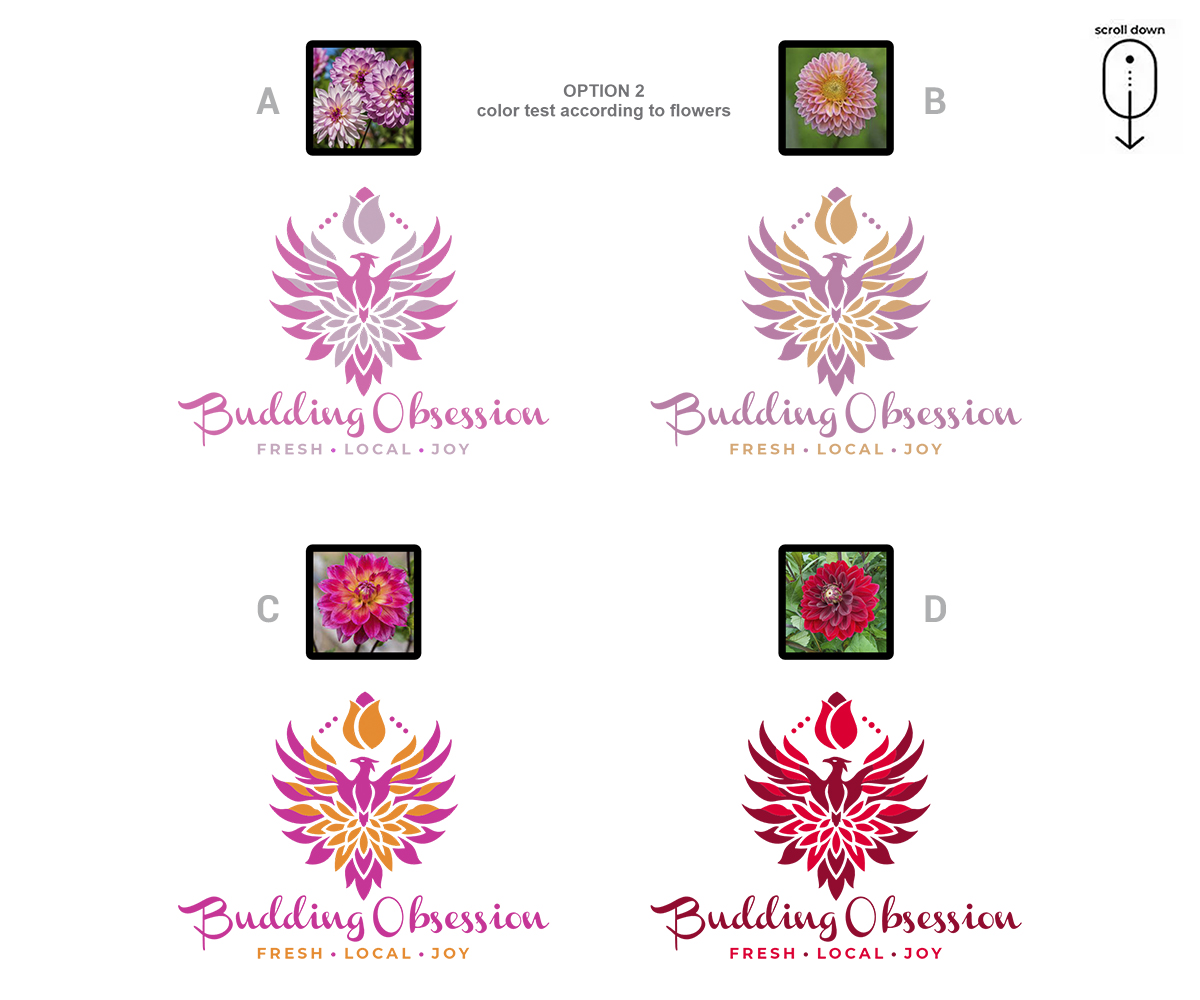 Design de Logo par Zonda Studio pour ce projet | Design #32313786