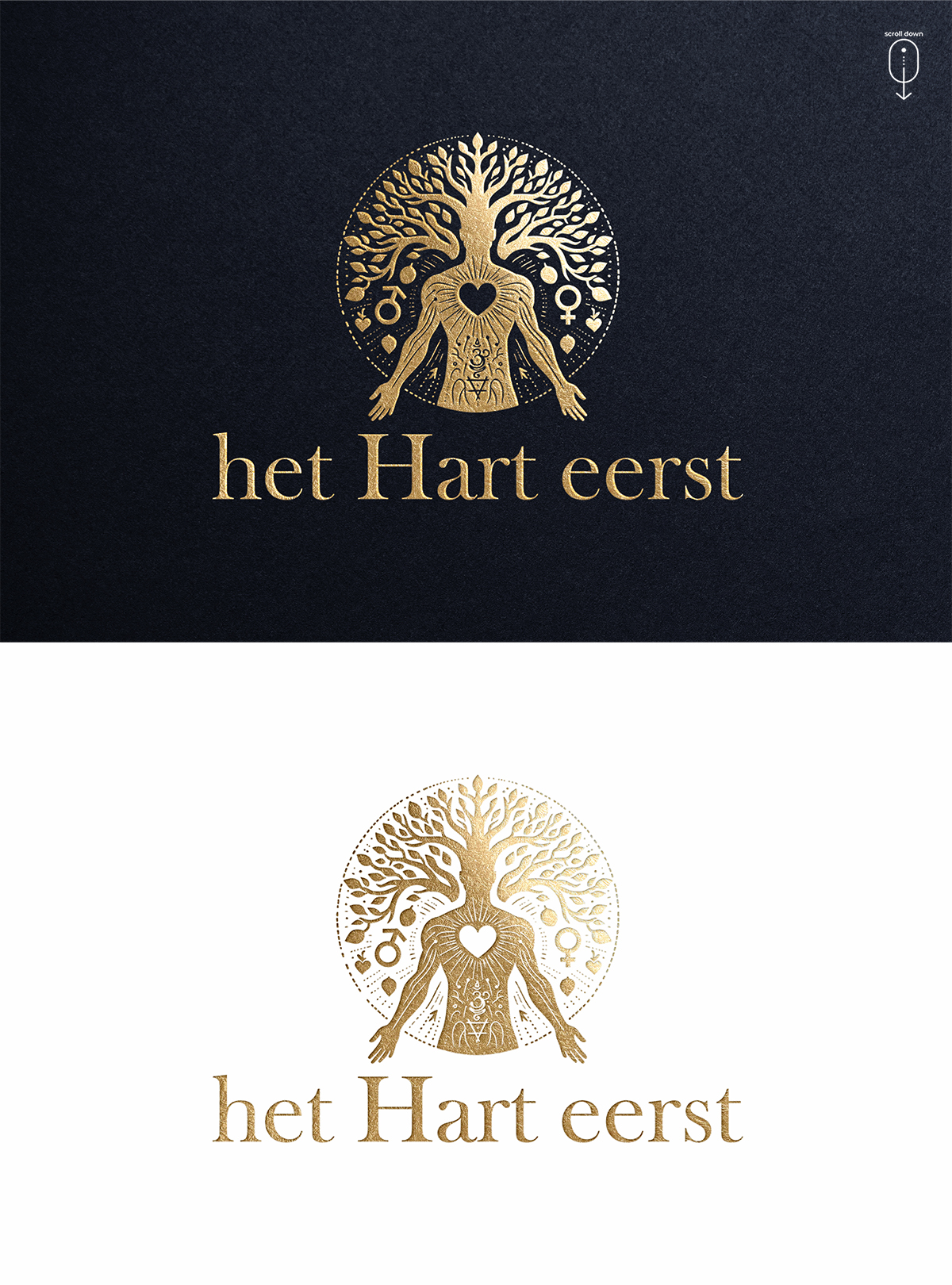 Design de Logo par Zonda Studio pour ce projet | Design #32271525