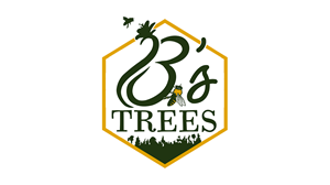 Web Design by ed_scenery for this project | Design: #32251279