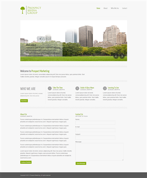 Web Design by Shoaib Abbasi for this project | Design: #3147442