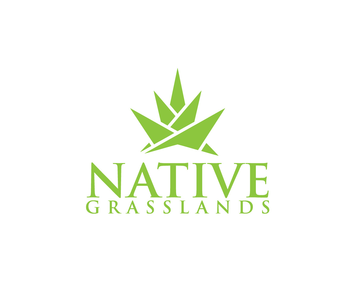 Diseño de Logo por nadim420 para este proyecto | Diseño #32278133
