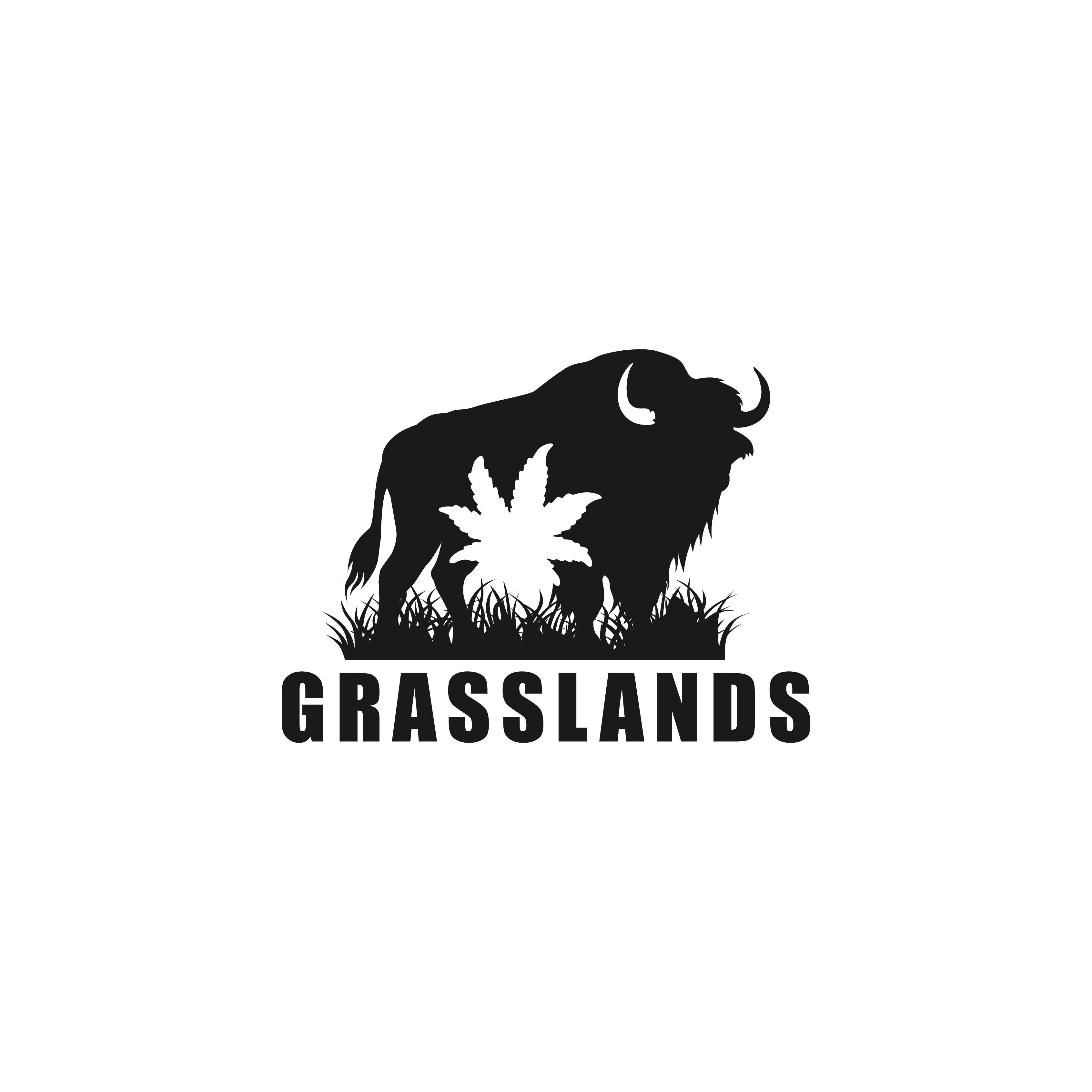 Logo Design by DoppelGanger Studio for this project | Design #32253729