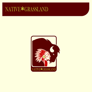 Logo Design by Angelo Blaze