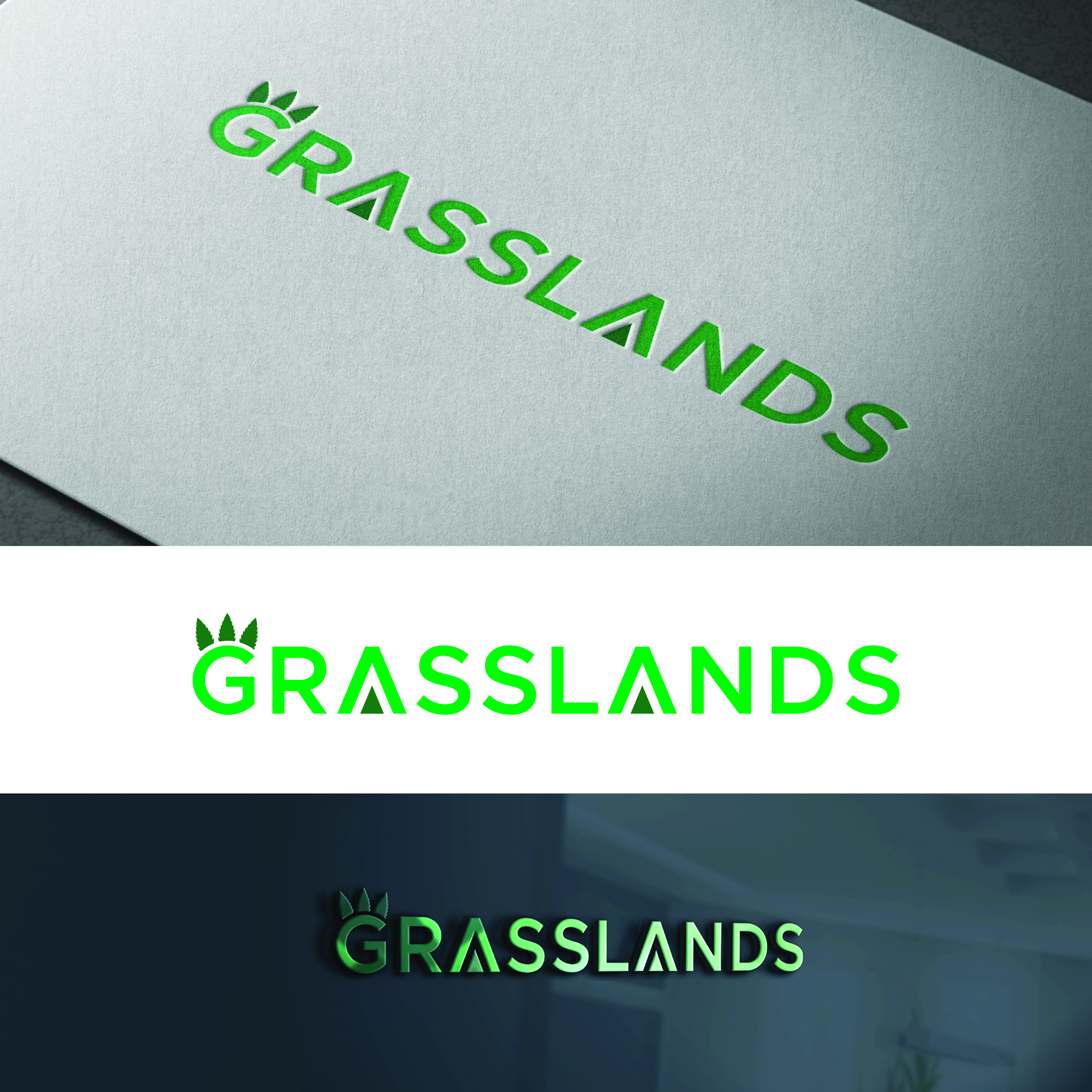 Diseño de Logo por Md Hasibur Rahman para este proyecto | Diseño #32253310