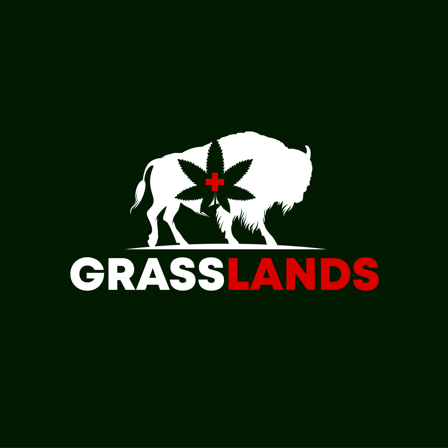 Diseño de Logo por Krold IT Solutions para este proyecto | Diseño #32256752