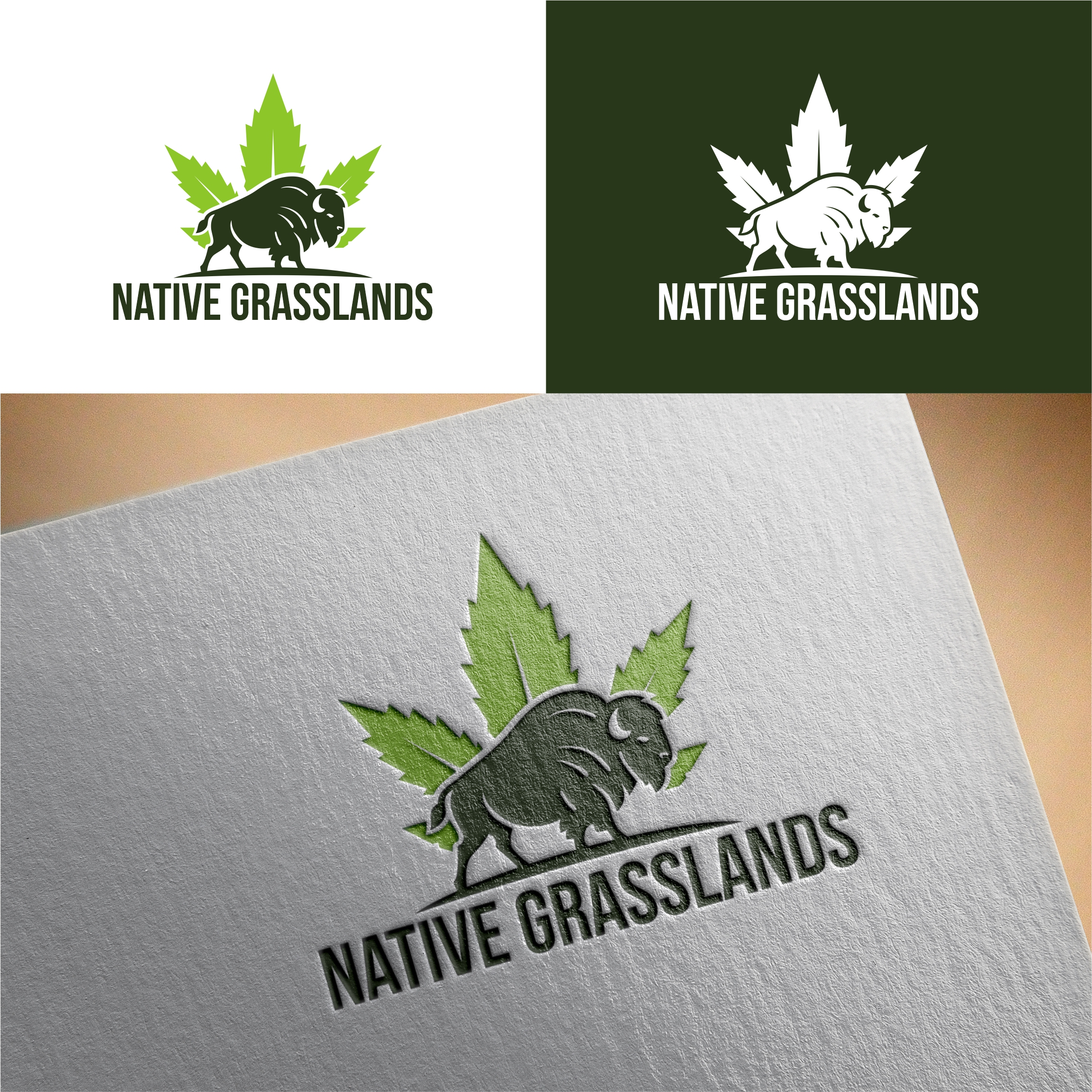 Diseño de Logo por rosiyandesign para este proyecto | Diseño #32256472