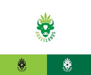 Logo-Design von Ansh Design für dieses Projekt | Design: #32254299