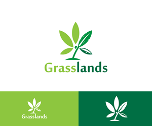 Logo-Design von Ansh Design für dieses Projekt | Design: #32254300