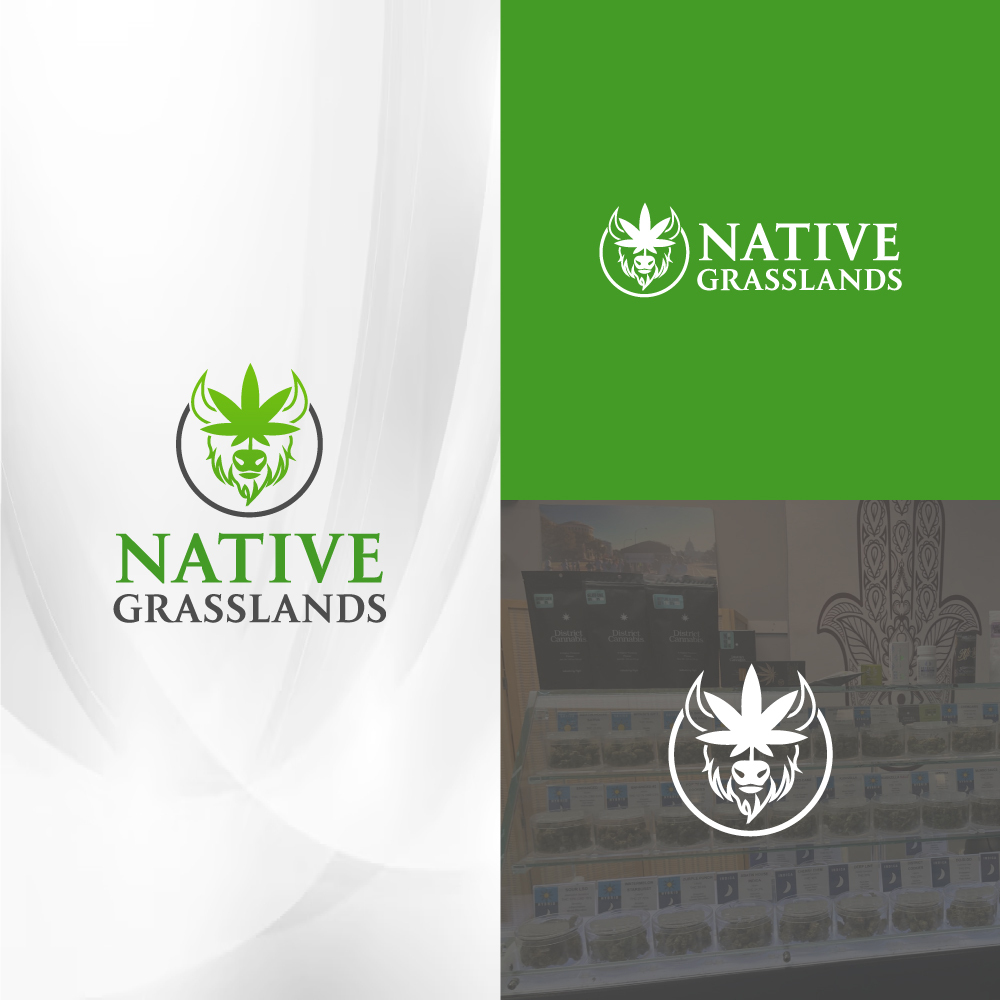 Diseño de Logo por Tan-D para este proyecto | Diseño #32288277