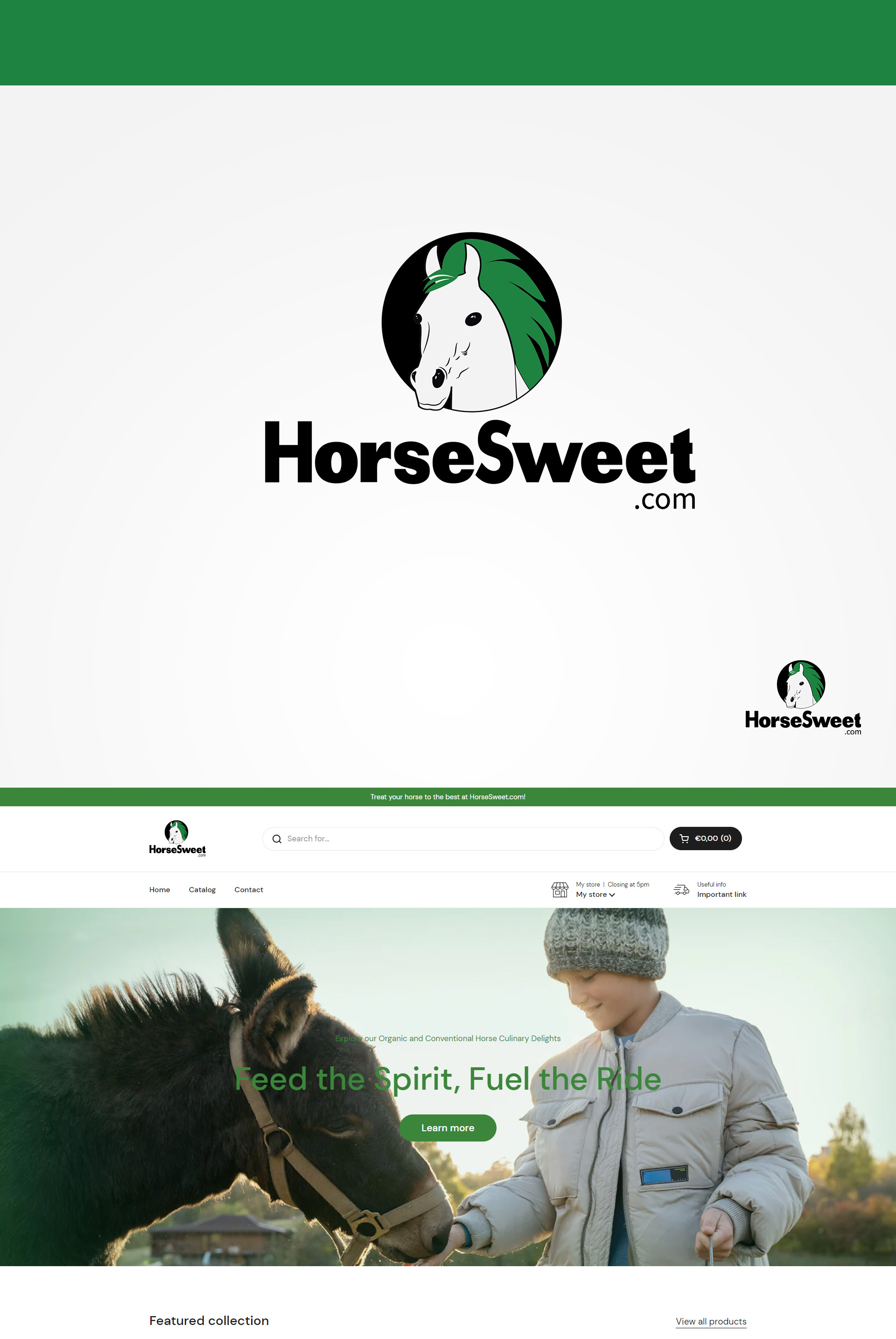 Diseño de Shopify por RubelRir para DUC FACTORY | Diseño #32305839