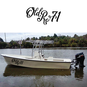 Graphic Design by Maestral for Optimus Technology, Inc | Design: #32300044