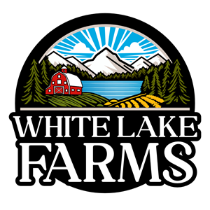 Logo Design by Daysigns