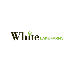 Logo Design by yapi