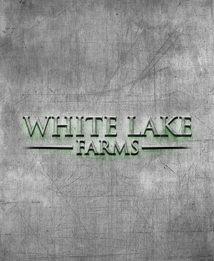 Logo Design by tecnik designer for this project | Design: #32274971