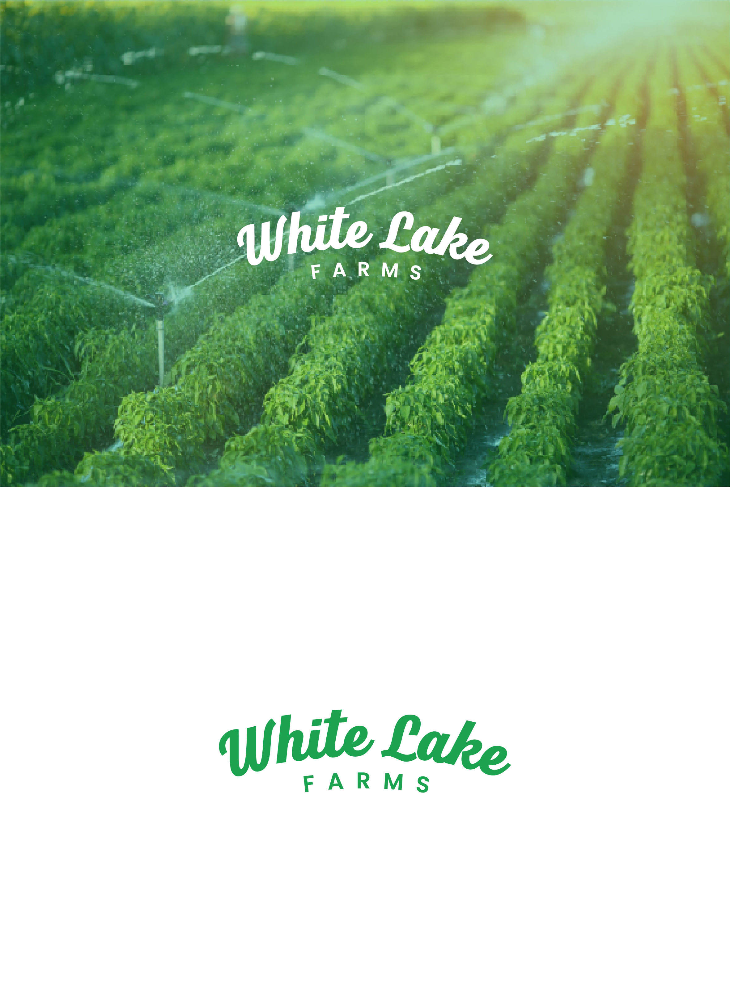 Logo Design by kamel graphic for this project | Design #32270886