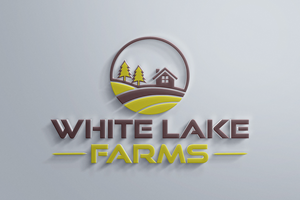 Logo Design by Kainatpro for this project | Design: #32268256