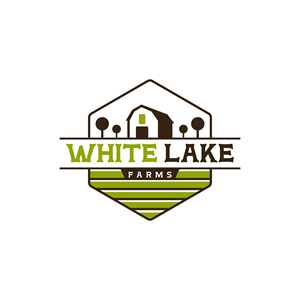 Logo Design by KINGTIVE8