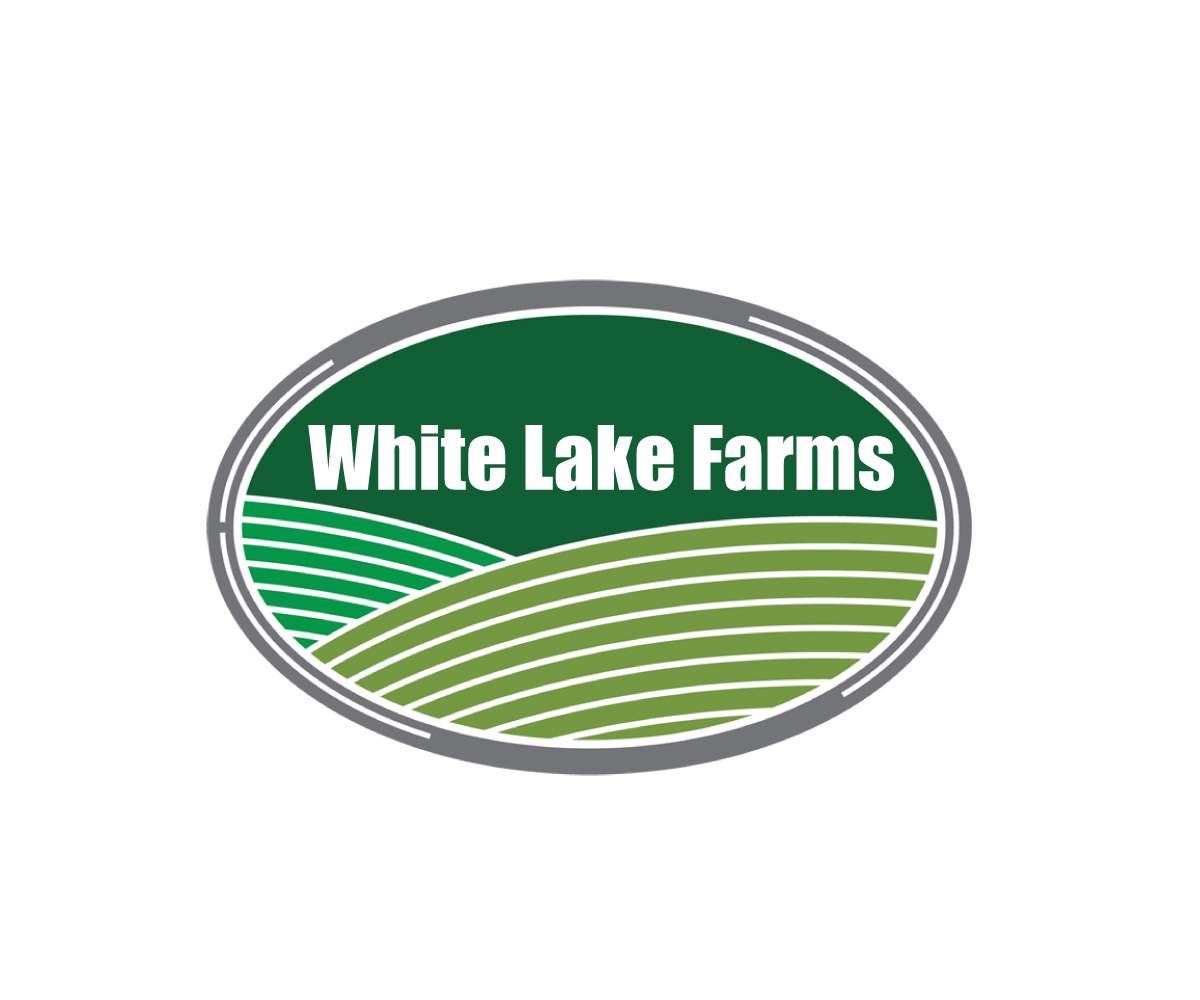 Logo Design by Design Radz for this project | Design #32280185