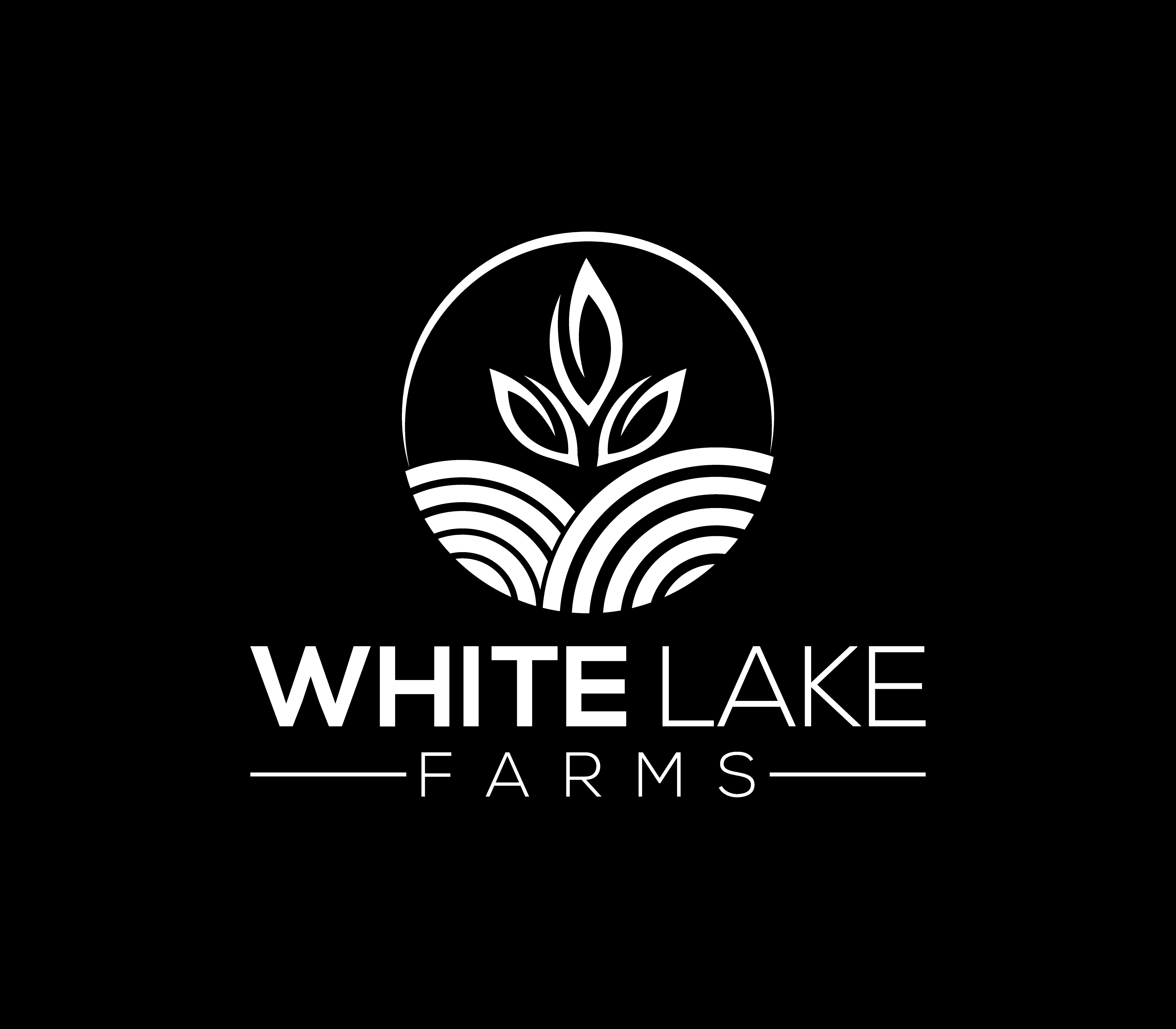 Logo Design by Nova_Create for this project | Design #32274927