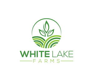 Logo Design by Nova_Create for this project | Design: #32274928