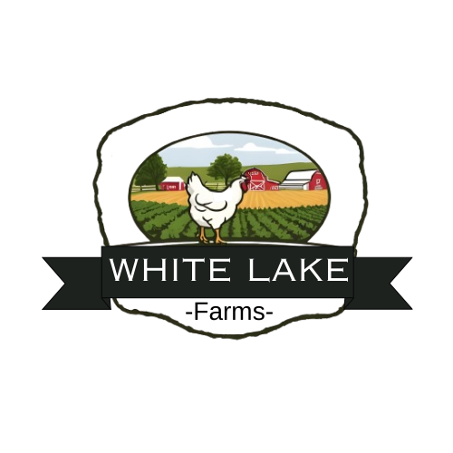 Logo Design by Sumana for this project | Design #32282315