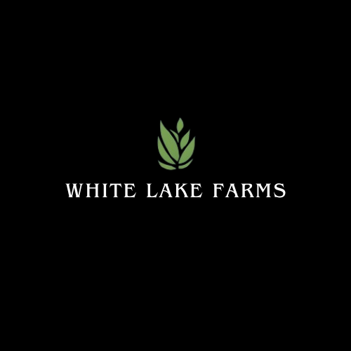 Logo Design by Sumana for this project | Design #32283830