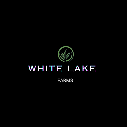Logo Design by Sumana for this project | Design #32283831