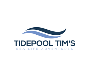Logo Design by Nova_Create for this project | Design: #32278078