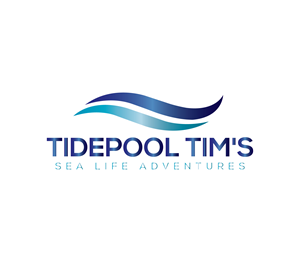 Logo Design by Nova_Create for this project | Design: #32278079