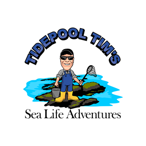 Logo Design by luckdesign for this project | Design: #32271848